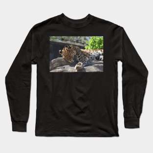 Leopard Long Sleeve T-Shirt